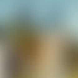 A colorful image shows a large wrought iron gate in the center, leading to a courtyard with buildings around. The gate arches up to a decorative top, with Hull Court written in scrollwork below.