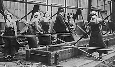 Executive Director Search