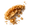 brazo de reina fresafdfd ggfg-16.png