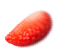 Particulas de tortas DSDSD-01.png