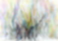 enchanted forest72.jpg