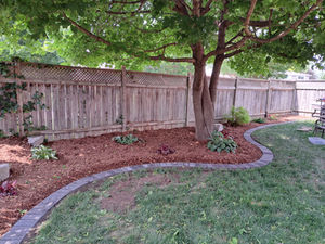 Garden with Paver Border