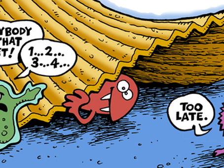 The 5- Second Rule