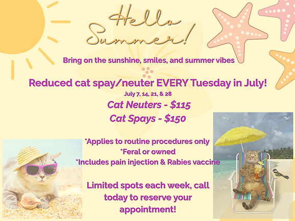 July SN flyer.png