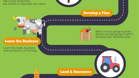 How to Get Started Farming