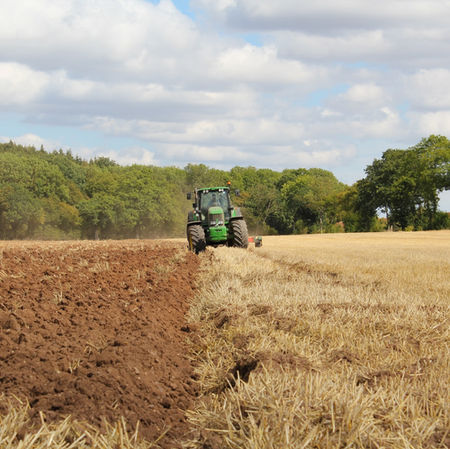 How to Prepare a Field for Planting