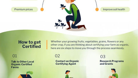 How to get Organic Certified