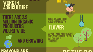 7+ Interesting facts about agriculture