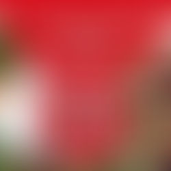 FC COPA ACADEMY HIGH SCHOOL HIGHLIGHT - WEEK OF OCTOBER 22