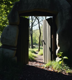 Reconnexion au Corps : Guide Pratique pour Incarner sa Présence