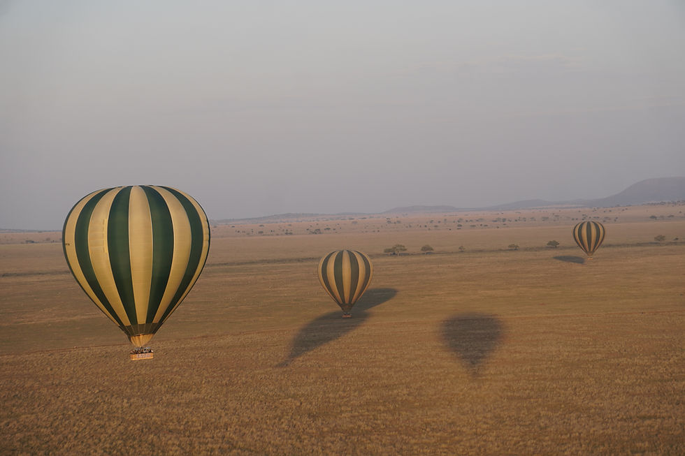 Relaxologie - Comment installer une pratique quotidienne…sans rigidité ni culpabilité