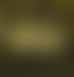 Forêt verte en fond, avec le texte jaune Quand je ne cherche plus à me détendre, ambiance calme et apaisante.