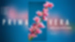banner primavera 23.jpg