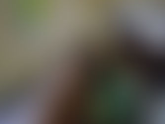 Education and Human Resource Development