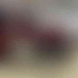 IMG_8207.jpeg