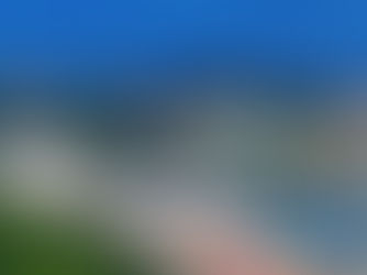 Tourism Sector Resilience