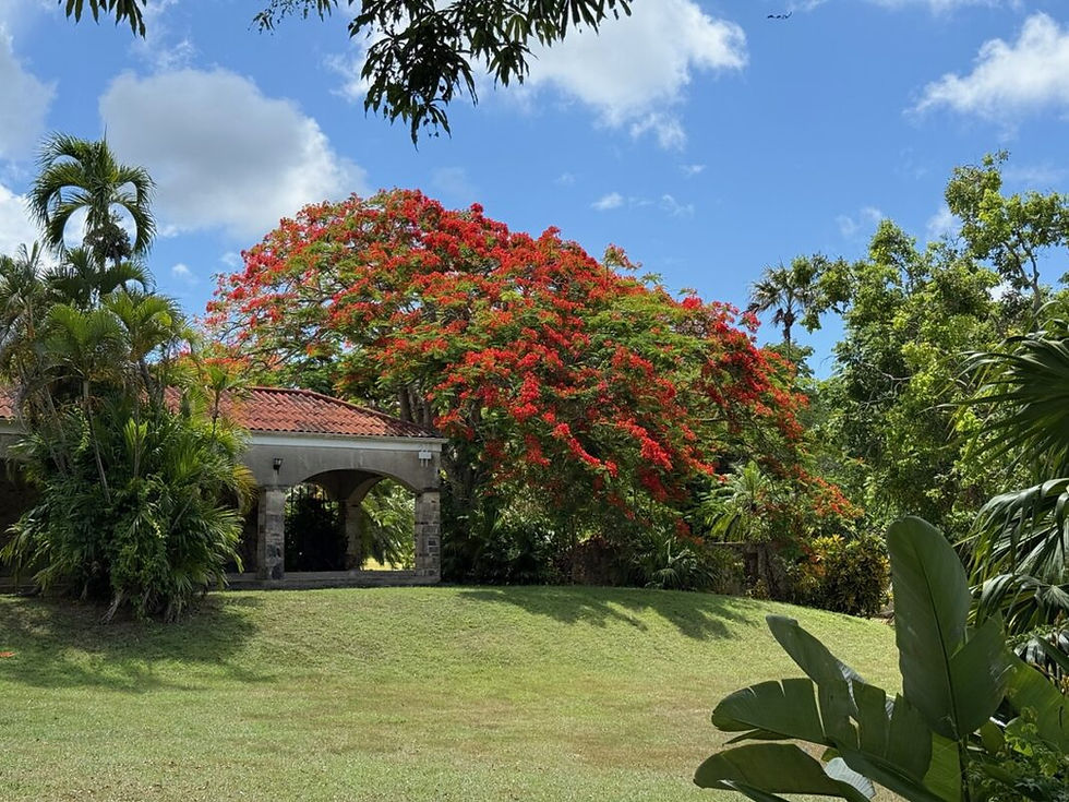St. George Village Botanical Garden Receives Advanced Accreditation From Global Programs