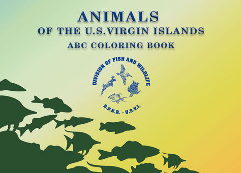 Animals of the USVI