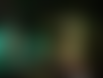 Bright Twinkling Lights Bring Holiday Spirit to St. George Village Botanical Garden