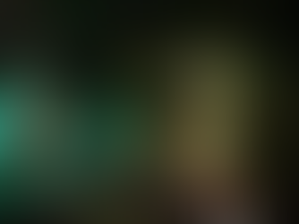 Bright Twinkling Lights Bring Holiday Spirit to St. George Village Botanical Garden