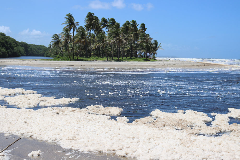 audra leah - brackish waters.jpg