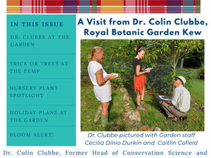 November Newsletter