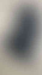 IMG_8311.jpeg