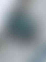 IMG_3316.jpeg