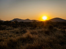 Botswana: Where Safari Adventures and Untamed Beauty Collide