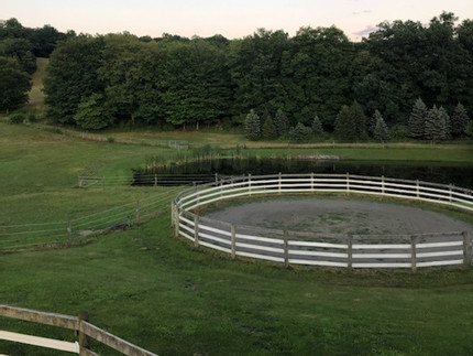 Round Pen_edited.jpg