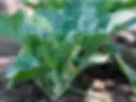 zjWmzQhWF9NfqwqrCShP.webp