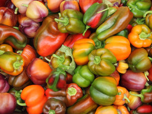 Food Security and Agriculture