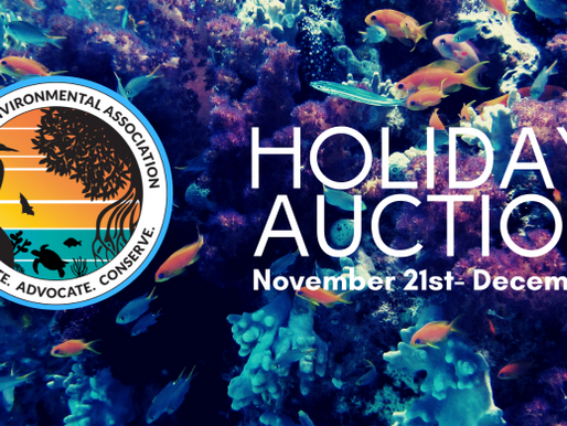 BIDDING HAS BEGUN: SEA’S 4TH ANNUAL HOLIDAY AUCTION