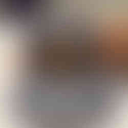 IMG_8333.jpeg