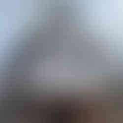 IMG_8098.jpeg