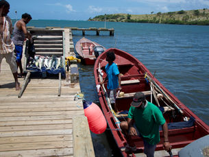 Small Business Sector Resilience