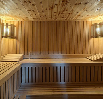Sauna in Authentic old stone house in peaceful Montenegrin countryside near Podgorica