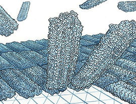 Schmid highlight.jpg