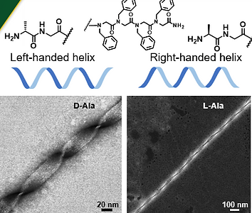 Molecular packing model of peptoid nanohelices (top) with controlled supramolecular chirality (bottom)