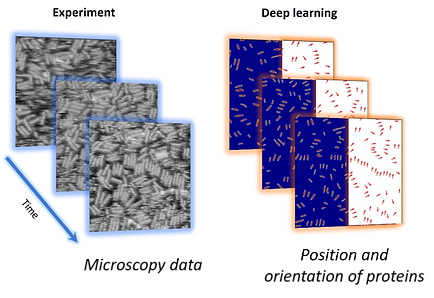 Ziatdinov et al Highlight Graphic_Deep M