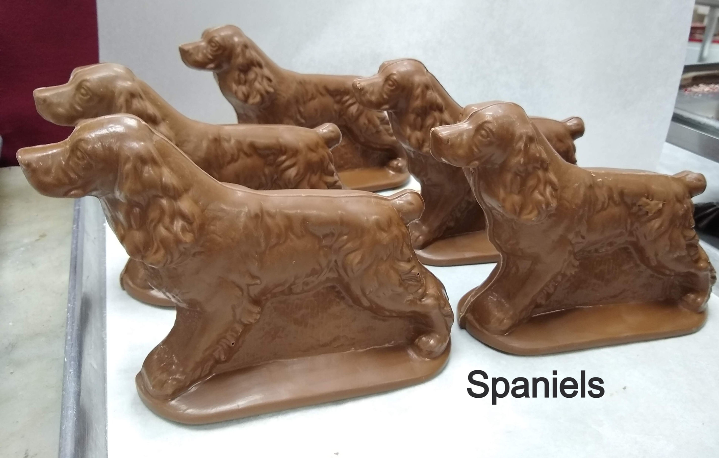 Spaniels