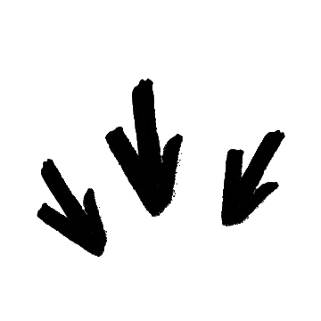 ARROWS.gif