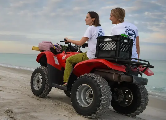 Turtle Power - Playa Hermosa.webp