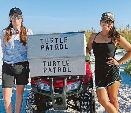 Turtle Power ....jpeg