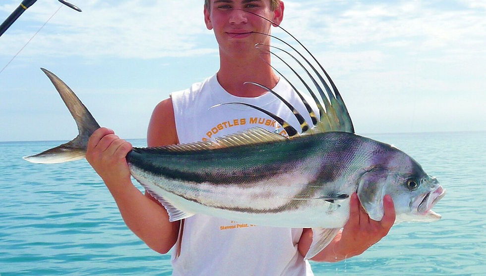 Roosterfish