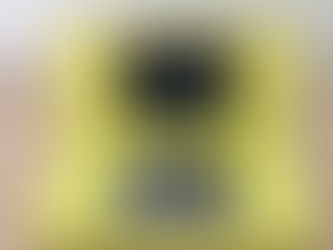 任天堂DSを南陽市のお客様から買取致しました