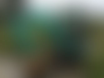 ヤンマー・バックホー・油圧ショベル・vio30-2を高畠町のお客様から買取致しました。