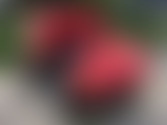 丸山・カーペットスプレーヤー・CGA-6を南陽市のお客様から買取致しました。