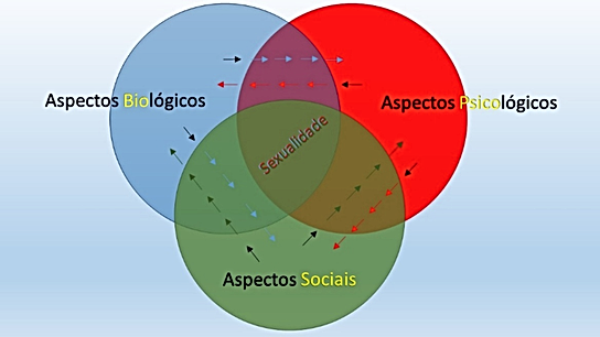 Aspectos biopsicossociais.png