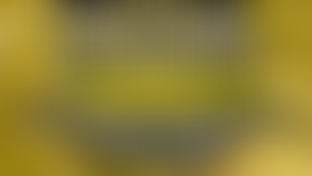 Food Bank Collection